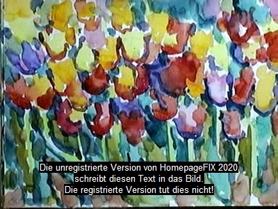 Tulpen 3