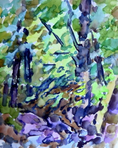 Bach im Wald