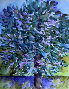 Obstbaum im Frühling