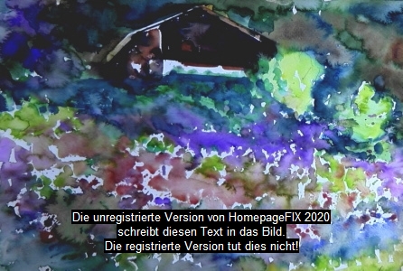 Blumenwiese in den Bergen