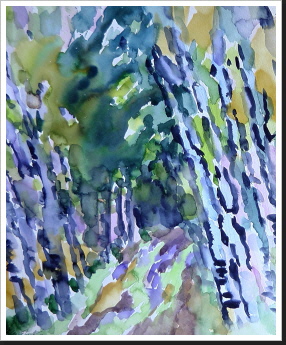 Birken